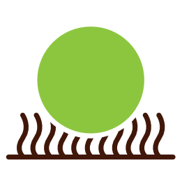 Bouncebackabilty : The ability for wool carpets to bounce back