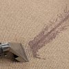 wineremovalhandtool
